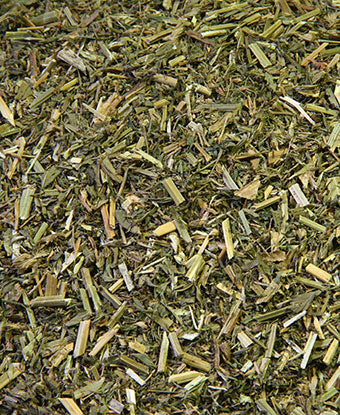Alfalfa
