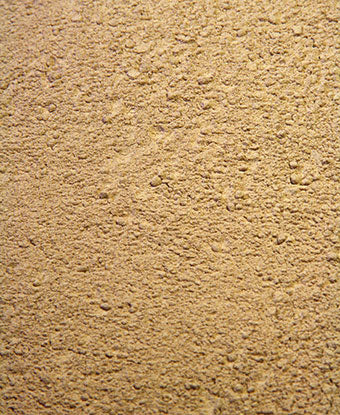 Astragalus Powder