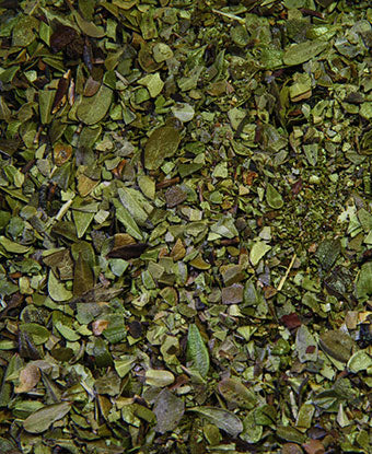Bearberry