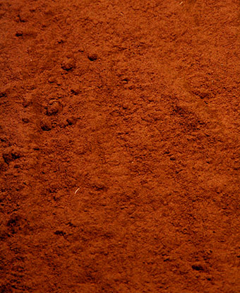 Bloodroot Powder
