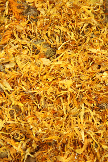 Calendula