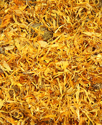 Calendula