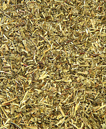 Catnip
