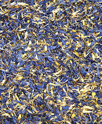 Cornflower