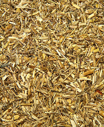 Couch grass