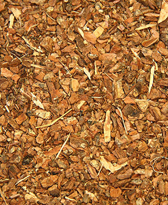 Crampbark