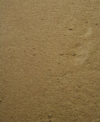 Dong Quai - Root Powder
