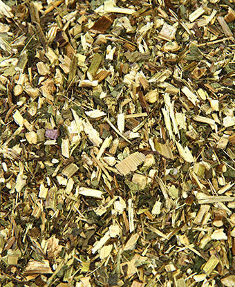 Echinacea