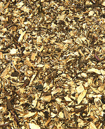 Echinacea - Root