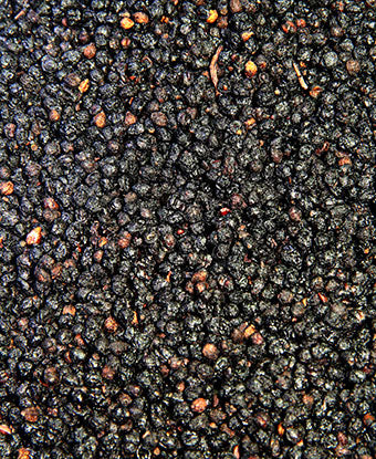 Elderberries