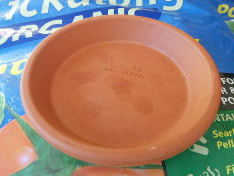 Terracotta Base (EV13)