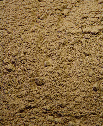 Galangal Powder