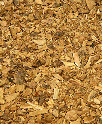 Gentian Root