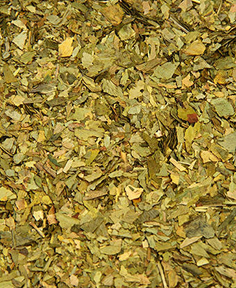 Ginkgo