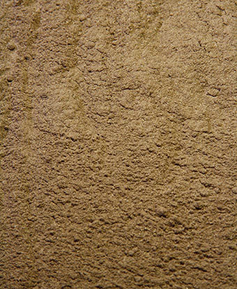 Graviola Powder