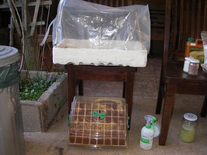 Compost, Liquid Fertiliser and Beneficial Insect Allies - Saturday 1st September 2018