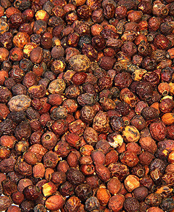 Hawthorn Berry