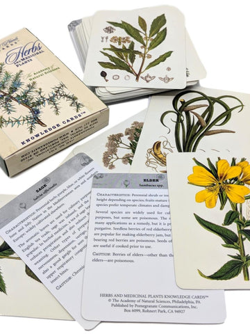 Herbs and Medicinal Plants Knowledge Cards