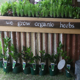 EVENT:          Herb Awareness Sunday 27th May 2018