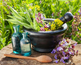 Herbs for Common Ailments - Class - Saturday 2nd May 2015