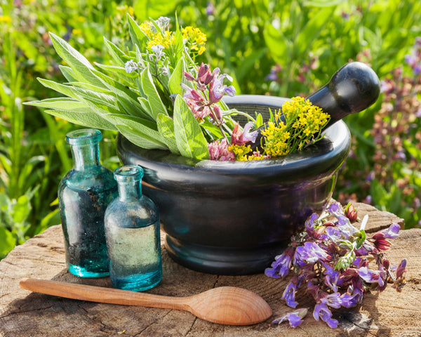 Herbs for Common Ailments - Class - Saturday 2nd May 2015