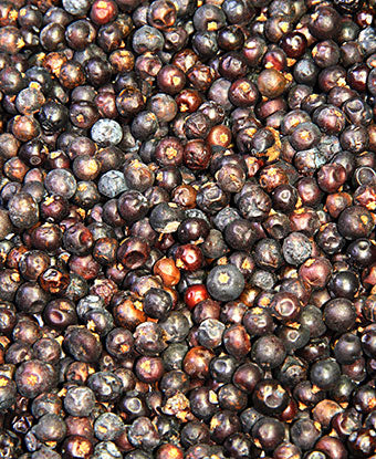 Juniper