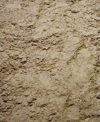 Marshmallow - Root Powder