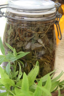 Using Herbs around the Home - Class - Saturday 19th September 2015