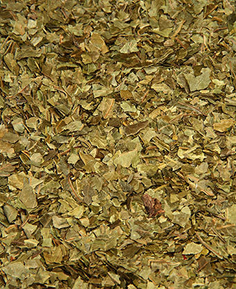 Neem