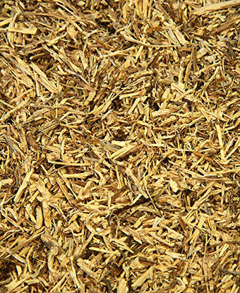 Nettle - Root