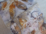 Eco Dyeing Workshop - Friday 17th October 2014