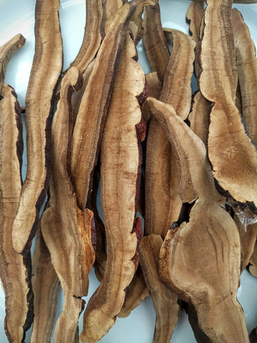 Reishi Mushroom