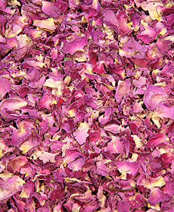 Rose Pink - Petals