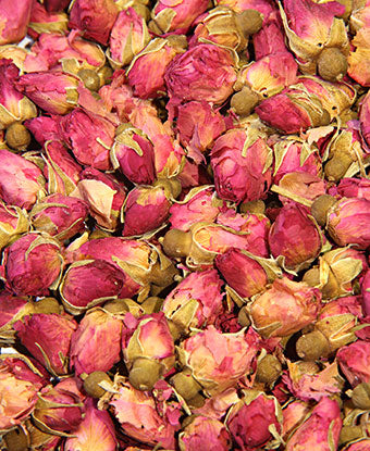 Rose Red - Flower Buds