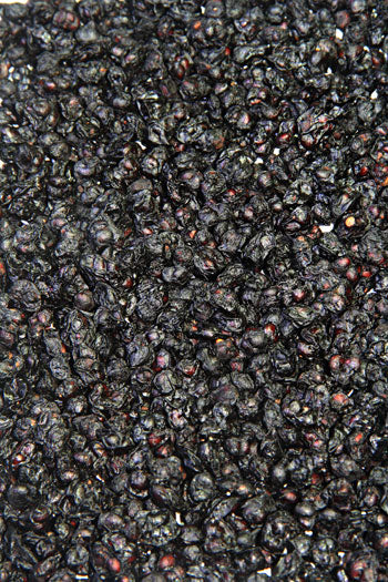 Schisandra