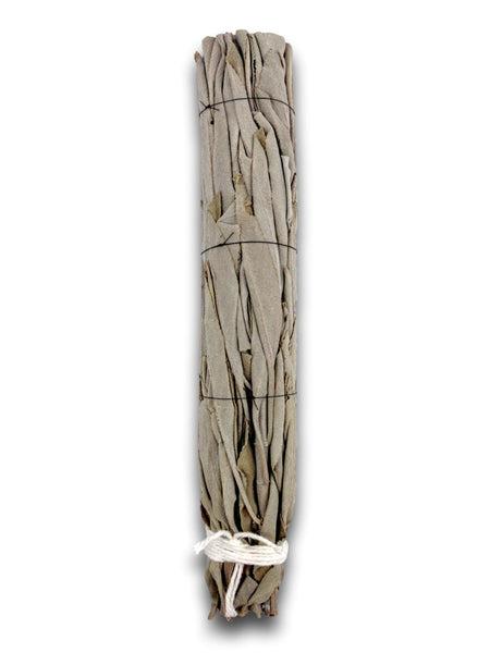 Clearing White Sage - Australian Grown Smudge Stick