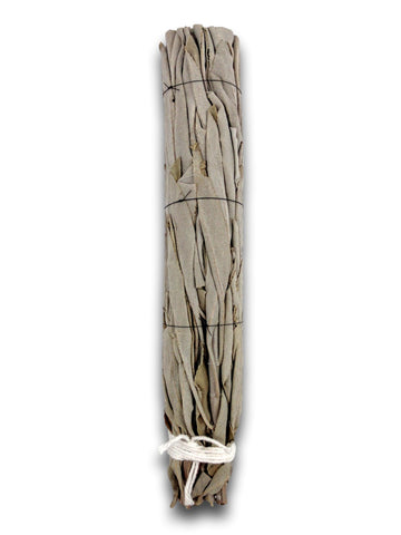 Clearing White Sage - Australian Grown Smudge Stick