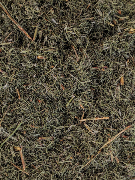 Southernwood - (500g) Australian Grown