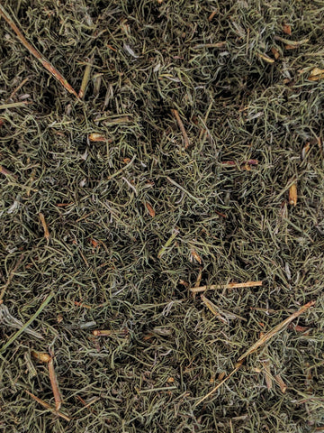 Southernwood - (500g) Australian Grown