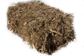 Cane Bale
