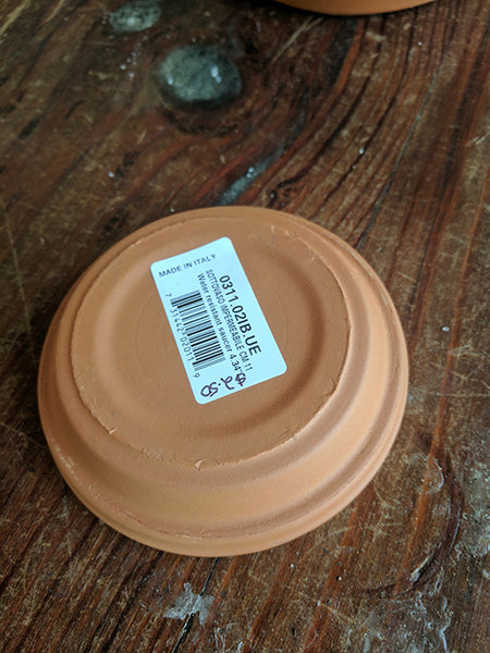 Terracotta Pot  EV11