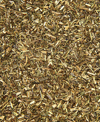 Vervain