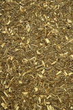 Wormwood